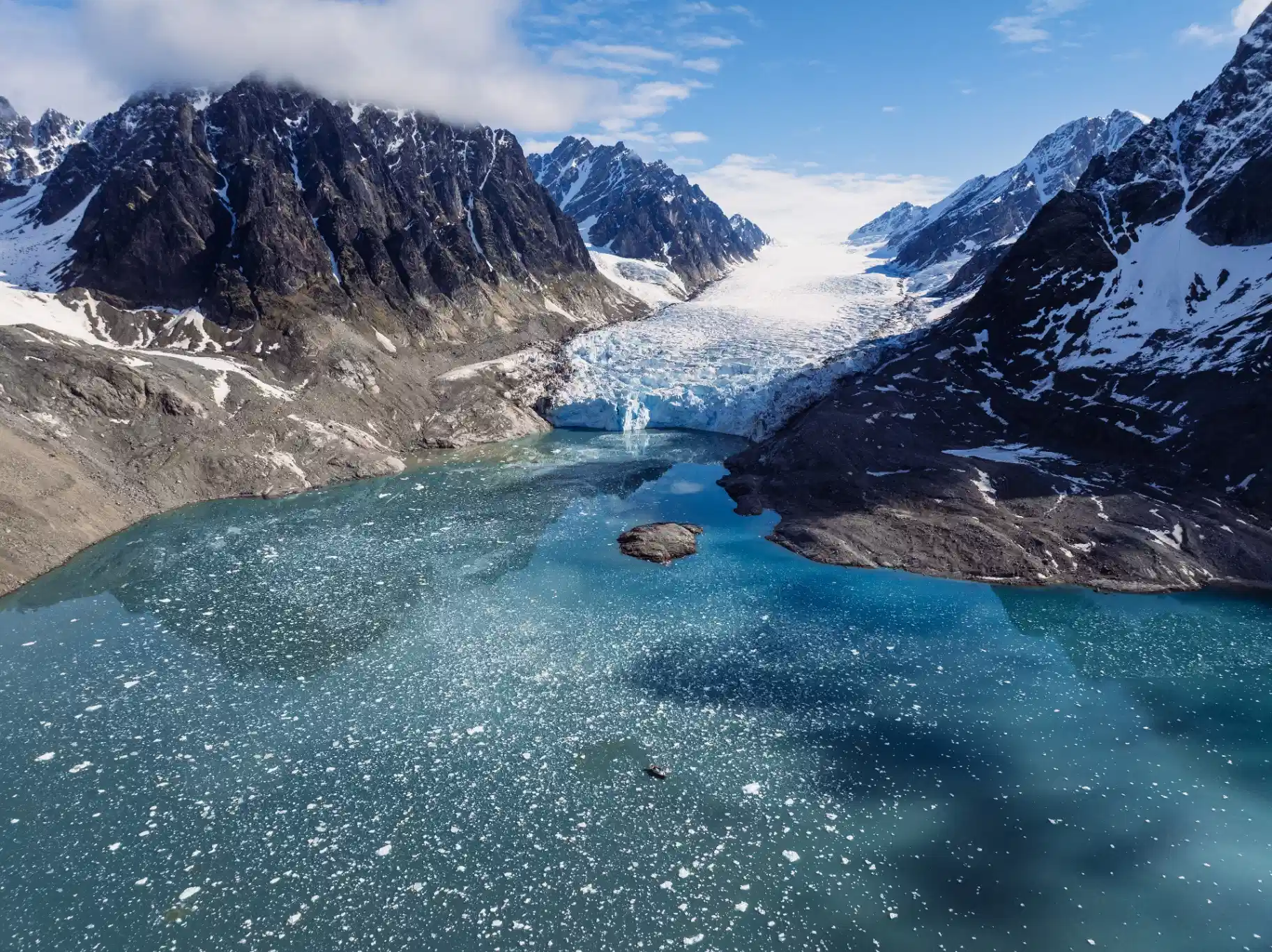 Svalbard wildlife: polar bears, walruses and Arctic birds