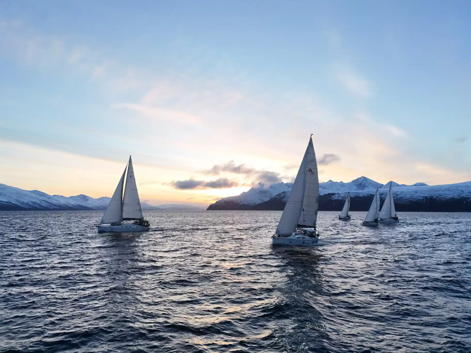 Group of guests on the deck of a sailing yacht in a Northern Norwegian fjord