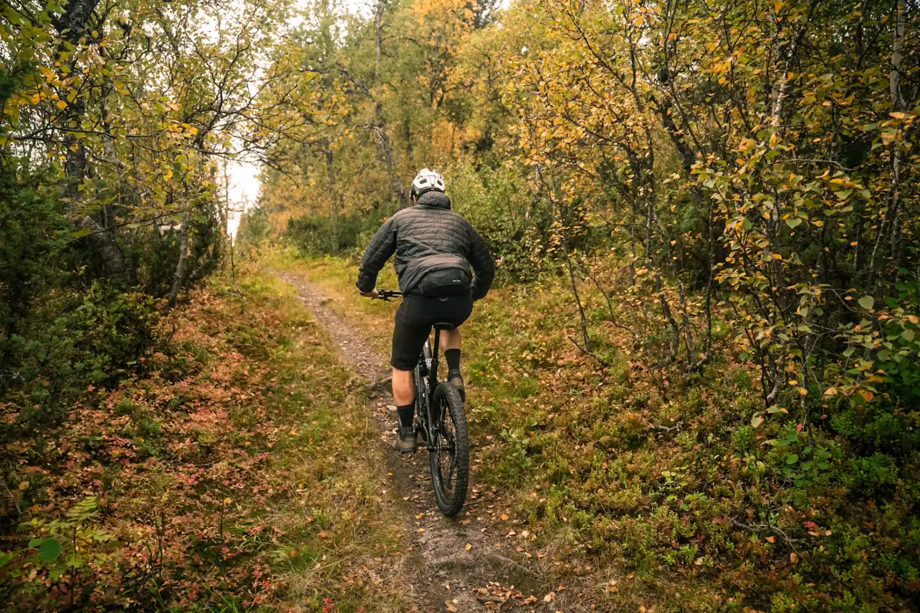 Bike & Sail: riders of the sea